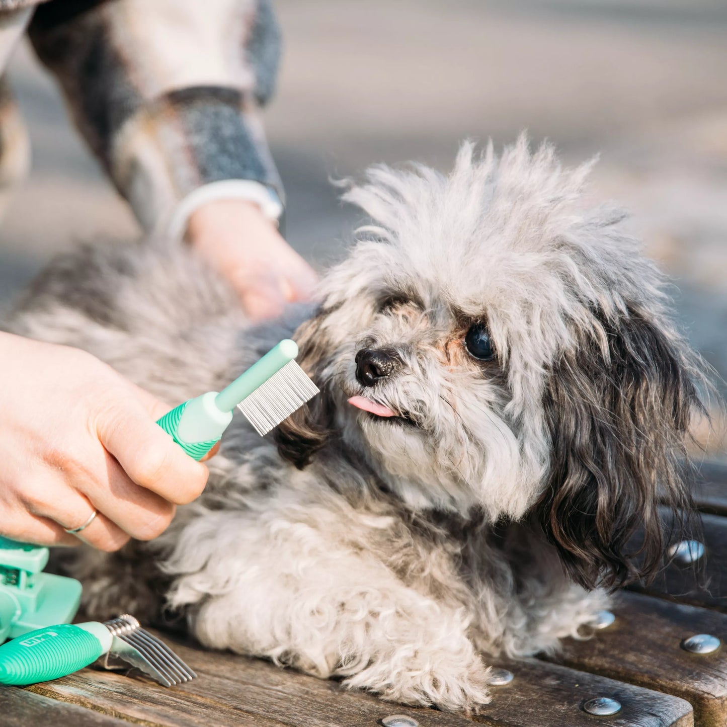 Coastal Li'l Pals Flea Comb