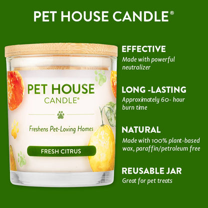 Fresh Citrus 9 oz Candle - lemon/orange fragrance