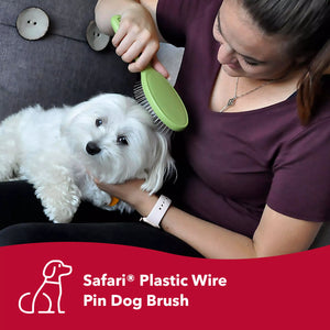 Safari Wire Pin Brush for Large Dogs