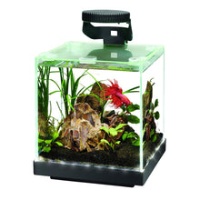 Load image into Gallery viewer, Aqueon Betta LED Light
