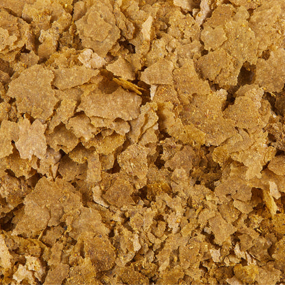 Aqueon Nutrinsect Fish-Free Fish Food Tropical Flakes