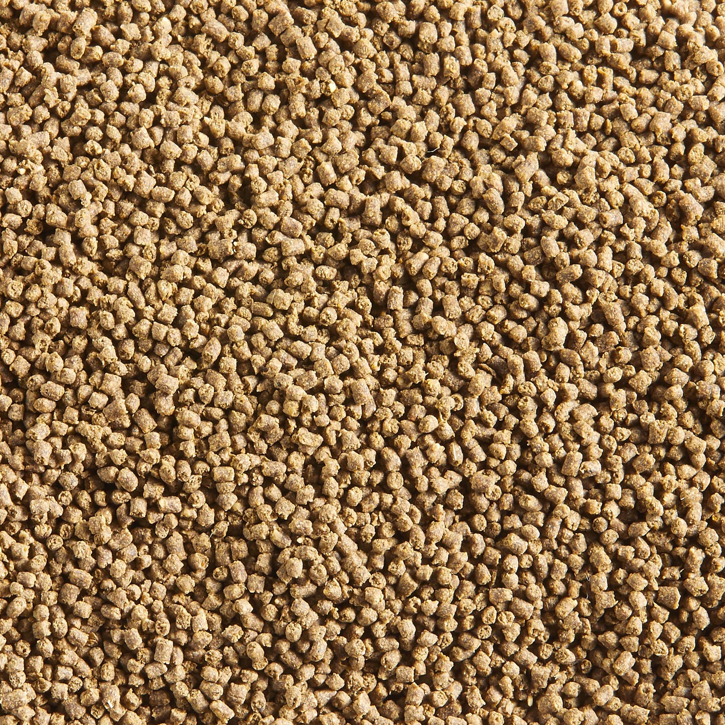 Aqueon Nutrinsect Fish-Free Fish Food Tropical Pellets