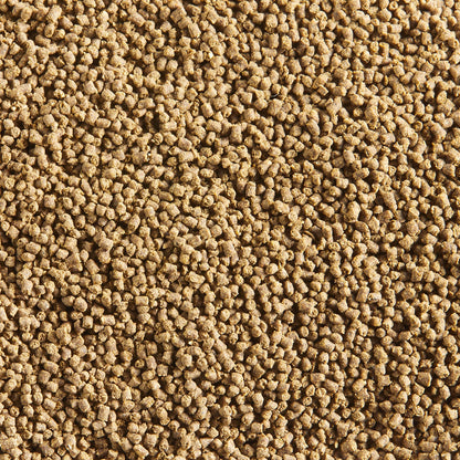 Aqueon Nutrinsect Fish-Free Fish Food Tropical Pellets