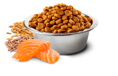 Farmina N&D Tropical Selection Salmon, Spelt, Oats, & Tropical Fruits Recipe Adult Medium & Maxi