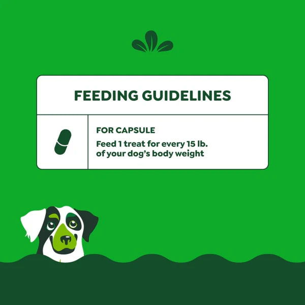 Greenies Pill Pockets Canine Real Chicken Flavor Dog Treats Capsule Size, 30 Count
