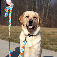 Load image into Gallery viewer, Coastal Leader Dogs for the Blind Styles Dog Leash
