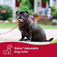 Load image into Gallery viewer, Coastal Styles Adjustable Dog Collar, Chevrons &amp; Stars
