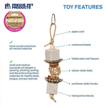 Prevue Naturals Lava Cruncher Bird Toy