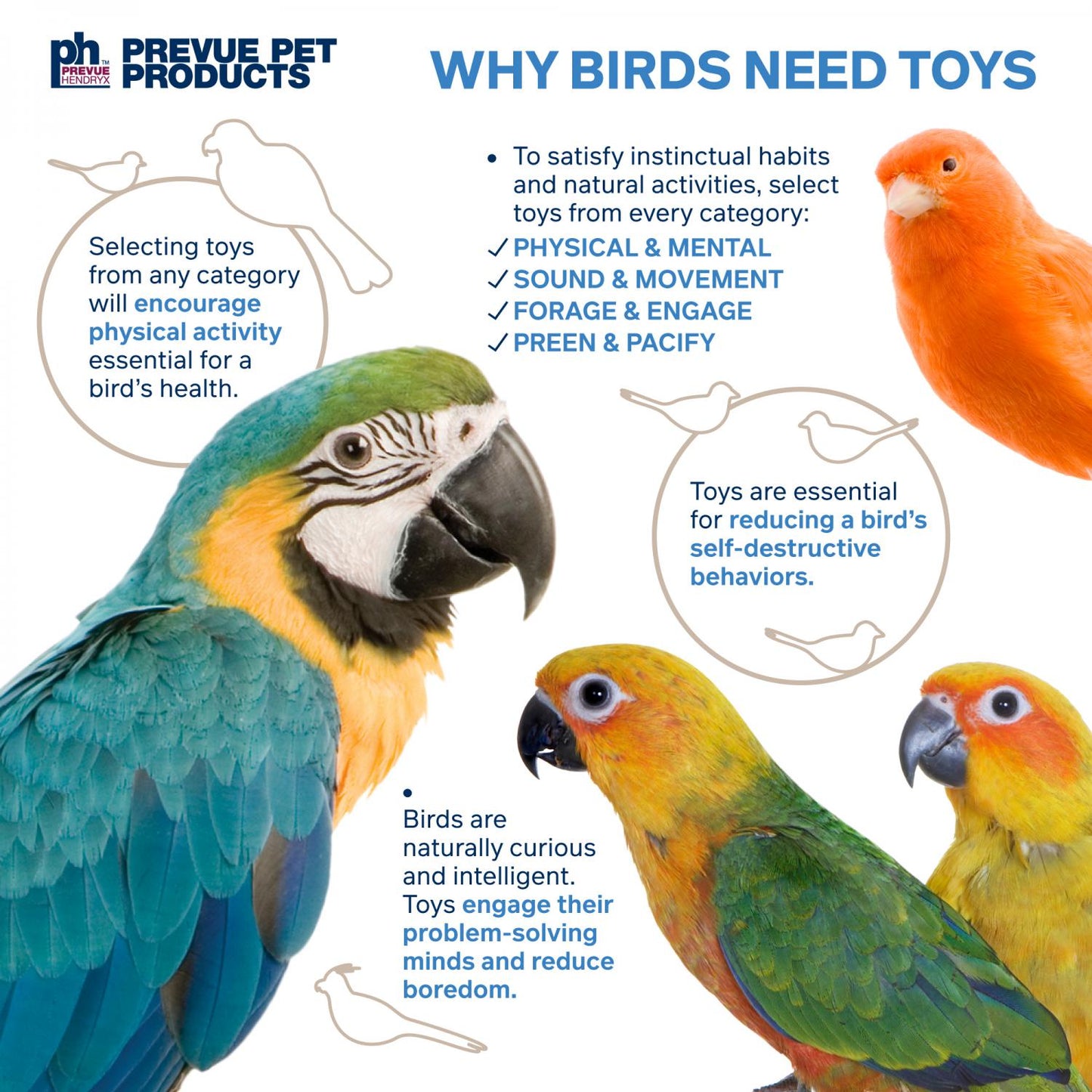Prevue Naturals Lava Cruncher Bird Toy