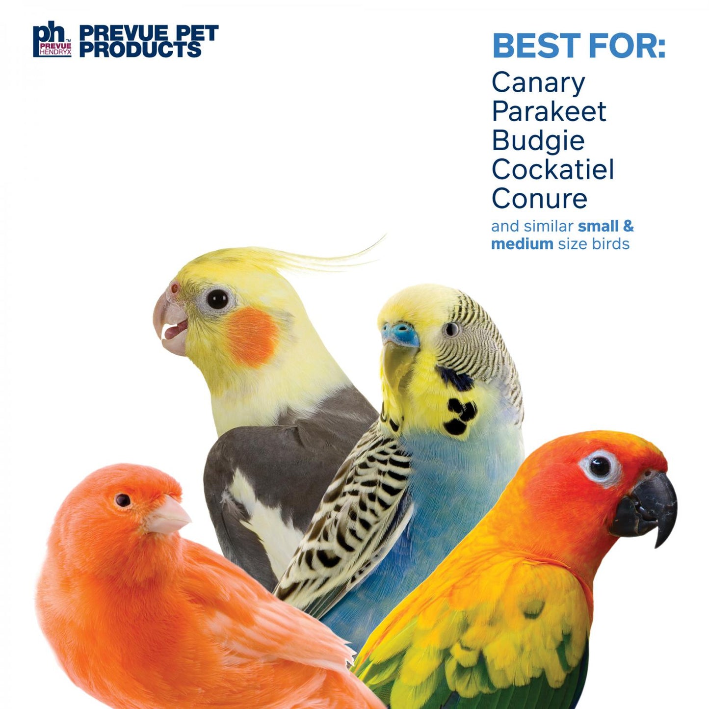 Prevue Naturals Lava Cruncher Bird Toy