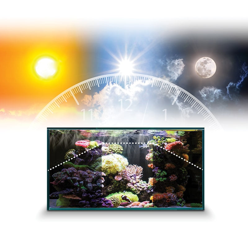 Fluval Sea Marine Nano LED Aquarium Lighting with Bluetooth, 20 Watts