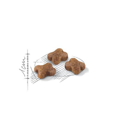 Royal Canin Kitten Dry Cat Food