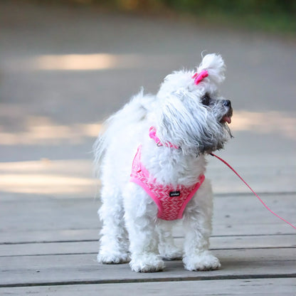 Li'l Pals Patterned Dog Leash with E-Z Snap, Red & White Bones