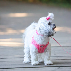 Li'l Pals Patterned Dog Leash with E-Z Snap, Pink Tribal Chevron