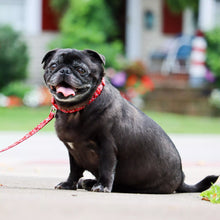 Load image into Gallery viewer, Coastal Styles Dog Leash, Black Skulls
