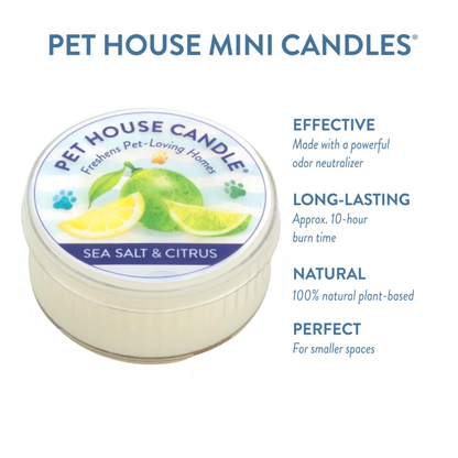 Pet House Sea Salt & Citrus Plant-Based Soy Wax Mini Candle 1.5 oz