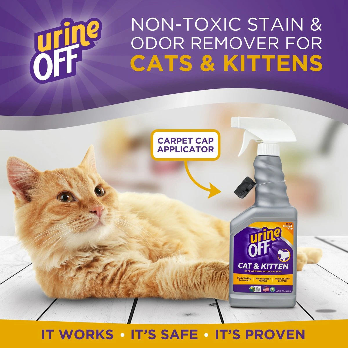 Urine Off Cat & Kitten Formula Stain & Odor Remover, 16.9 oz