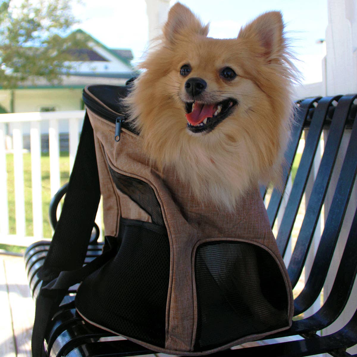 Dogline Pet Carrier Pack: Teal / S 8.5” x W 11.6” x H 13.8”