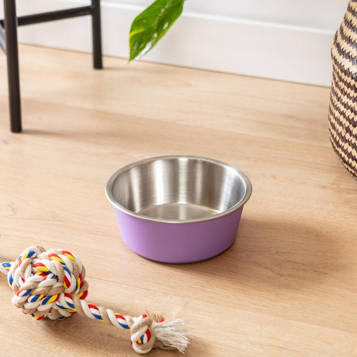 Malmo Pet Bowl: Blush Pink / Small
