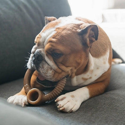 Benebone Ring Bacon Flavored Dog Chew Toy