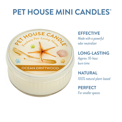 Pet House Ocean Driftwood Plant-Based Soy Wax Mini Candle 1.5 oz