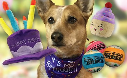 Petsport Happy Birthday Tuffballs Jr. Dog Toy