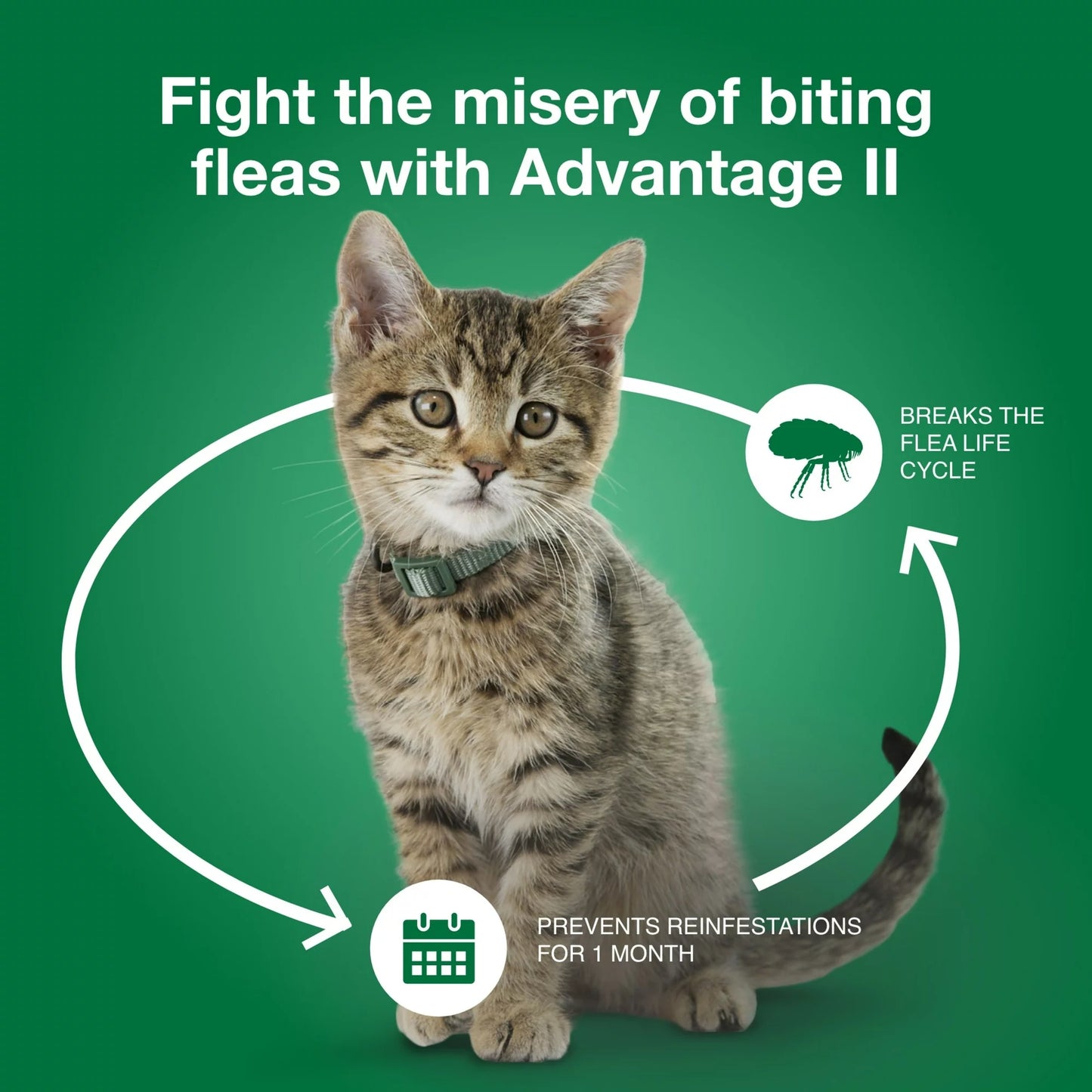 Advantage II Flea Treatment & Prevention for Small Cats 2 Monthly Doses