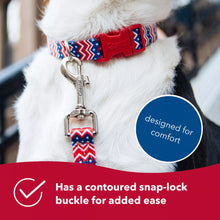 Load image into Gallery viewer, Coastal Styles Adjustable Dog Collar, Chevrons &amp; Stars
