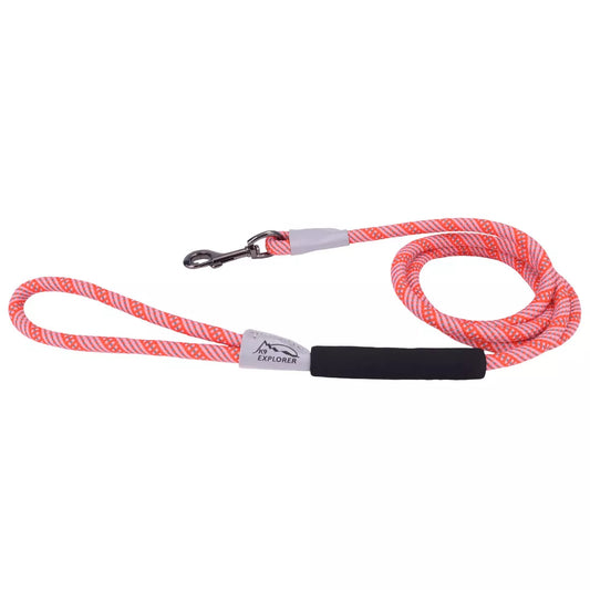 Coastal K9 Explorer Brights Reflective Braided Rope Snap Leash Canyon