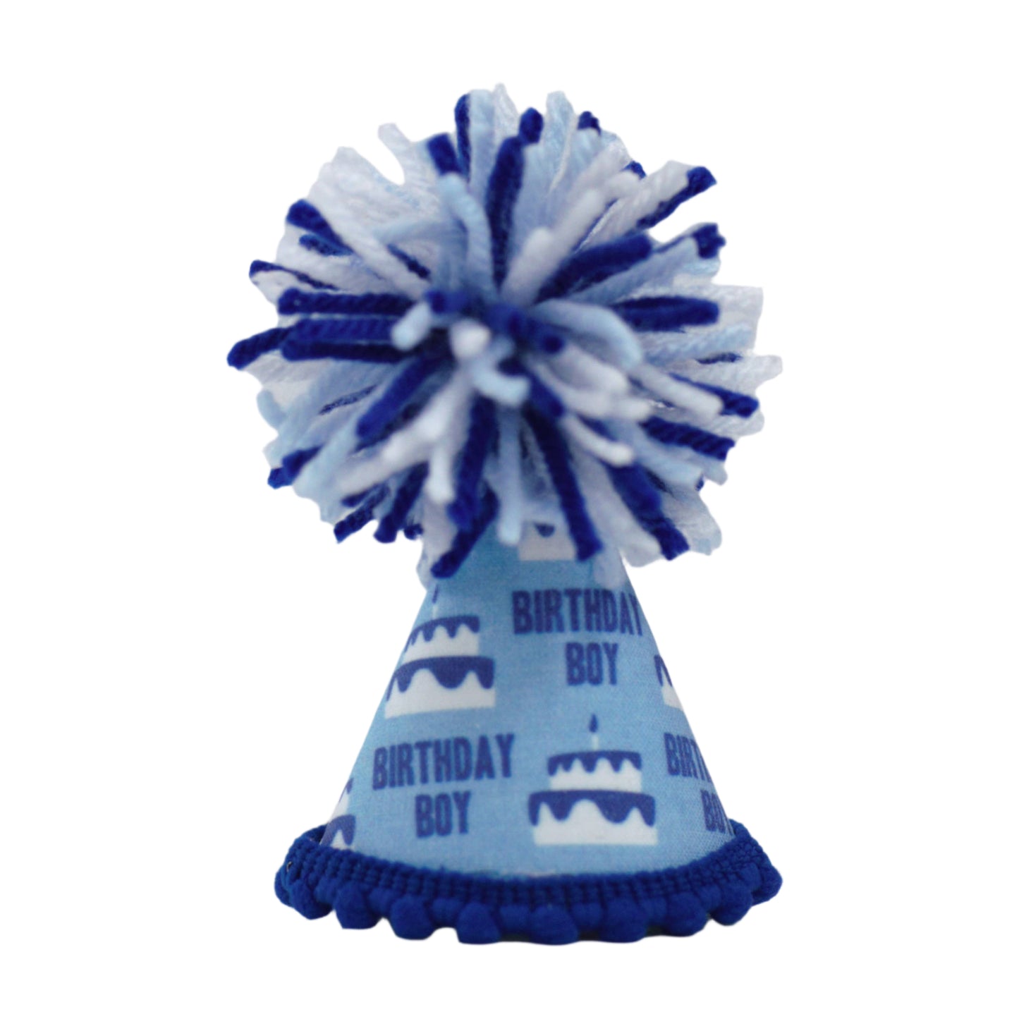 Pup Party Hats Birthday Boy Blue Party Hat: L