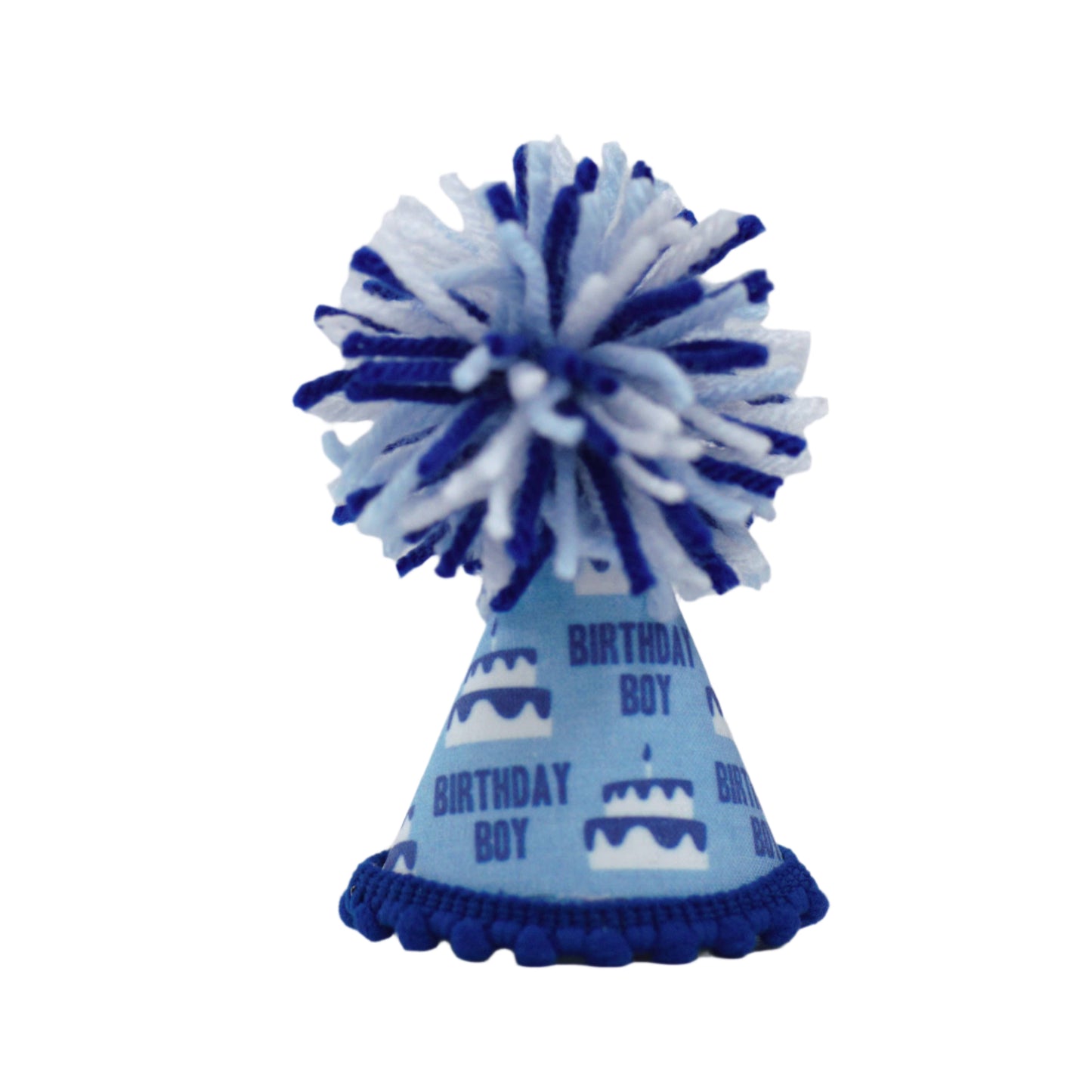 Pup Party Hats Birthday Boy Blue Party Hat: M