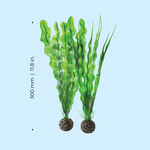 Oase biOrb Green Easy Plants Medium Set