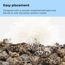 Load image into Gallery viewer, Oase biOrb White Sea Lily
