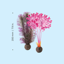 Load image into Gallery viewer, Oase biOrb Pink Kelp Small Set
