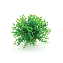 Load image into Gallery viewer, Oase biOrb Green Flower Ball
