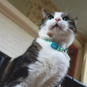 Safe Cat Adjustable Breakaway Cat Collar with Magnetic Buckle, Golden Kaleidoscope