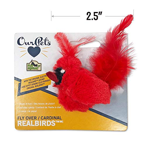 OurPets Play-N-Squeak Fly Over/Cardinal Cat Toy