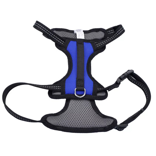 Coastal Reflective Control Handle Harness Blue