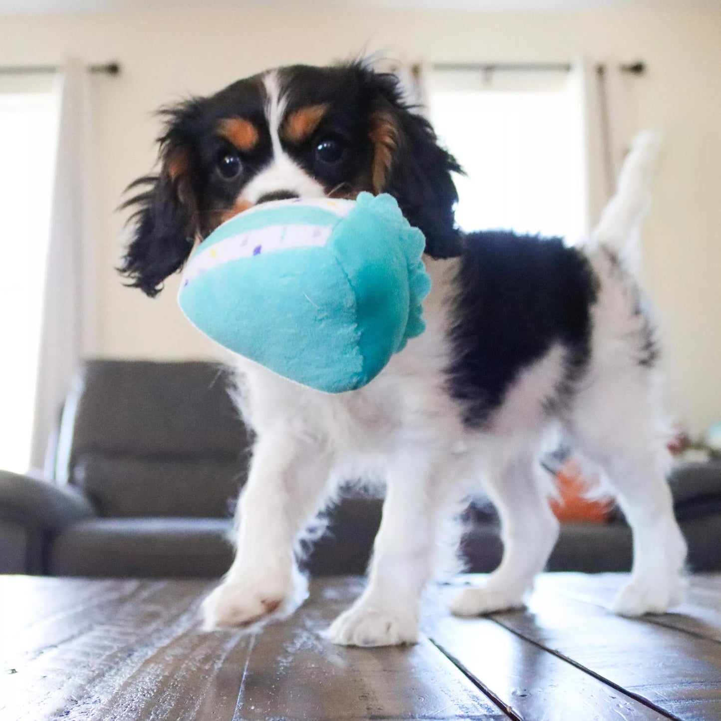 Li'l Pals by Coastal Birthday Combo - Bandana, Bowtie & Dog Toy