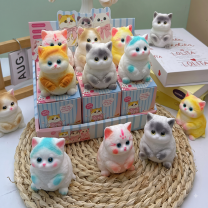 Chubby Cat Blind Box Squishy Toy – Collectible Kitty
