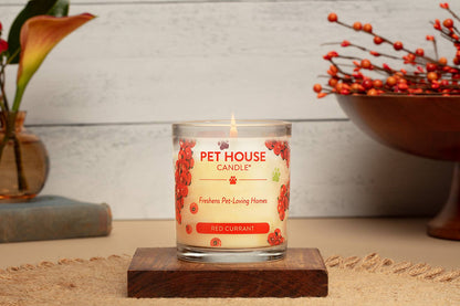 Pet House Candle Red Currant Plant-Based Soy Wax Candle 9 oz