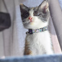 Load image into Gallery viewer, Li&#39;l Pals Adjustable Breakaway Kitten Collar, Daisy Multi-Color
