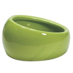 Living World Ergonomic Dish, Small Green