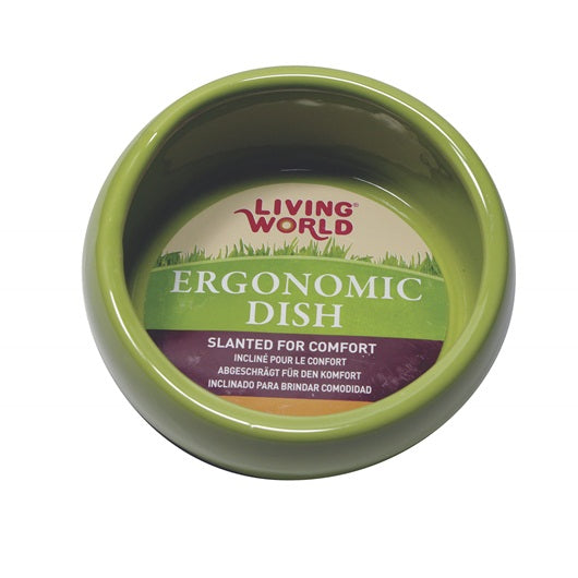 Living World Ergonomic Dish, Small Green