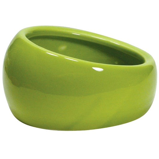 Living World Ergonomic Dish, Large Green