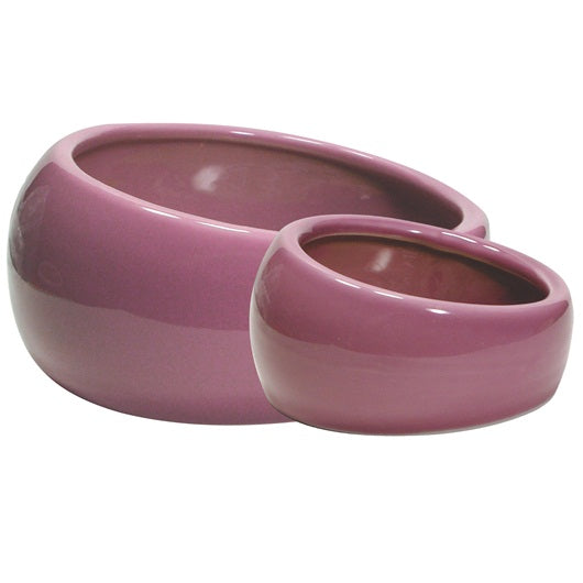 Living World Ergonomic Dish, Large Pink