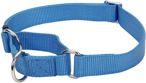 No! Slip Martingale Adjustable Dog Collar, Blue Lagoon