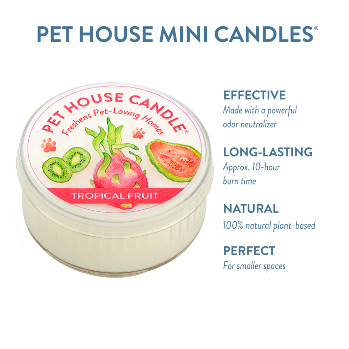 Pet House Tropical Fruit Plant-Based Soy Wax Mini Candle 1.5 oz