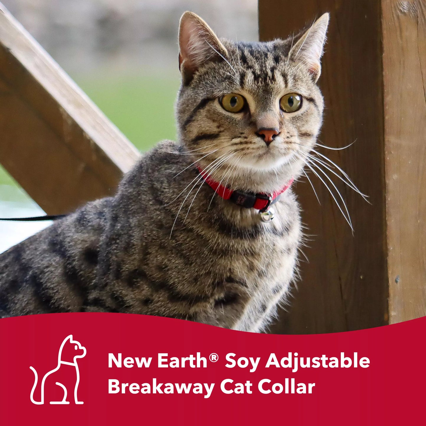 New Earth Soy Adjustable Breakaway Cat Collar, Olive