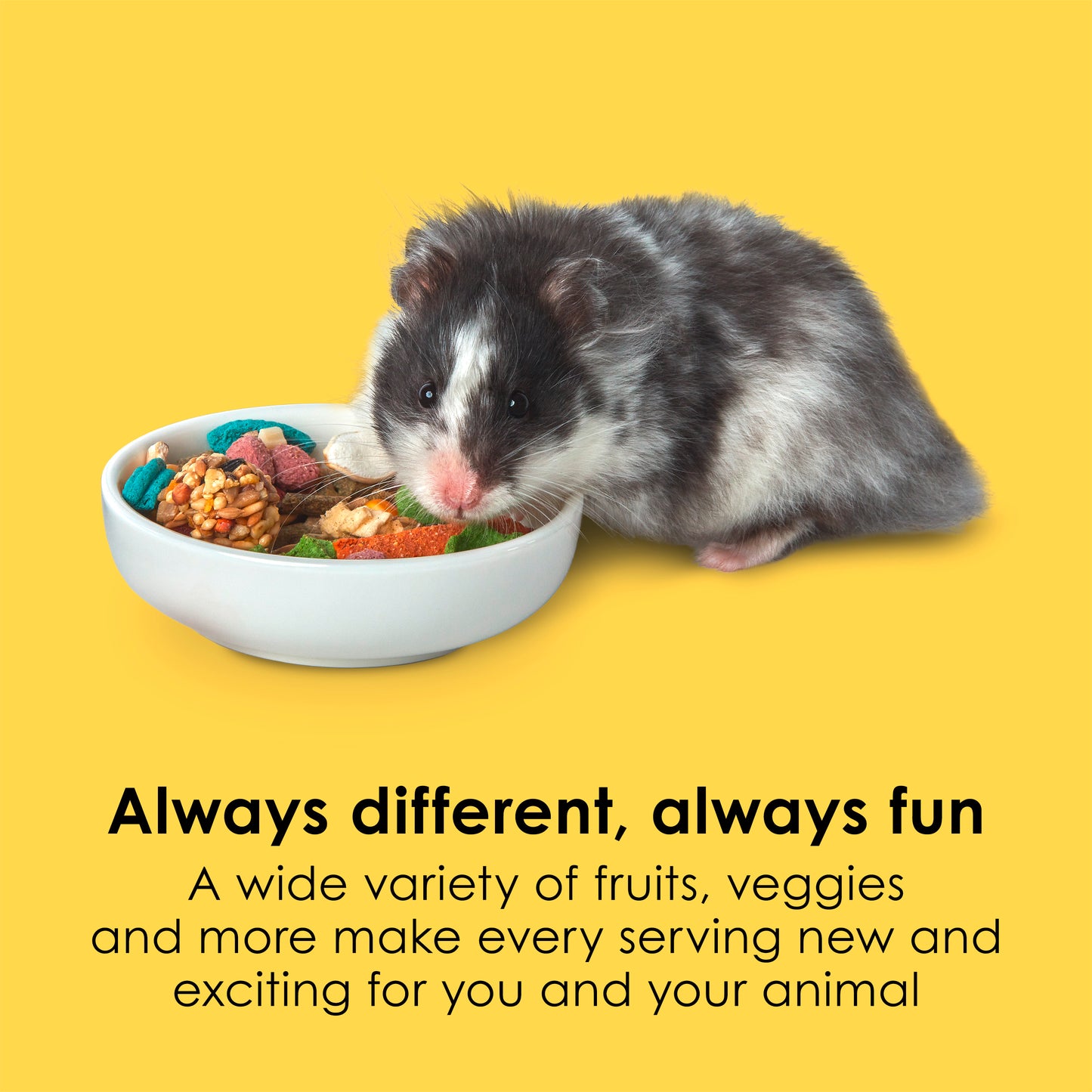 Kaytee Fiesta Hamster Gerbil Food, 2.5lb
